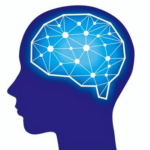 脳科学がマーケティング戦略にどのように革命をもたらすか